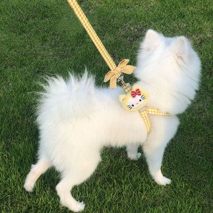 Puppy and cat leash