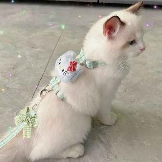 Puppy and cat leash