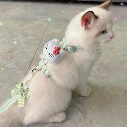 Puppy and cat leash