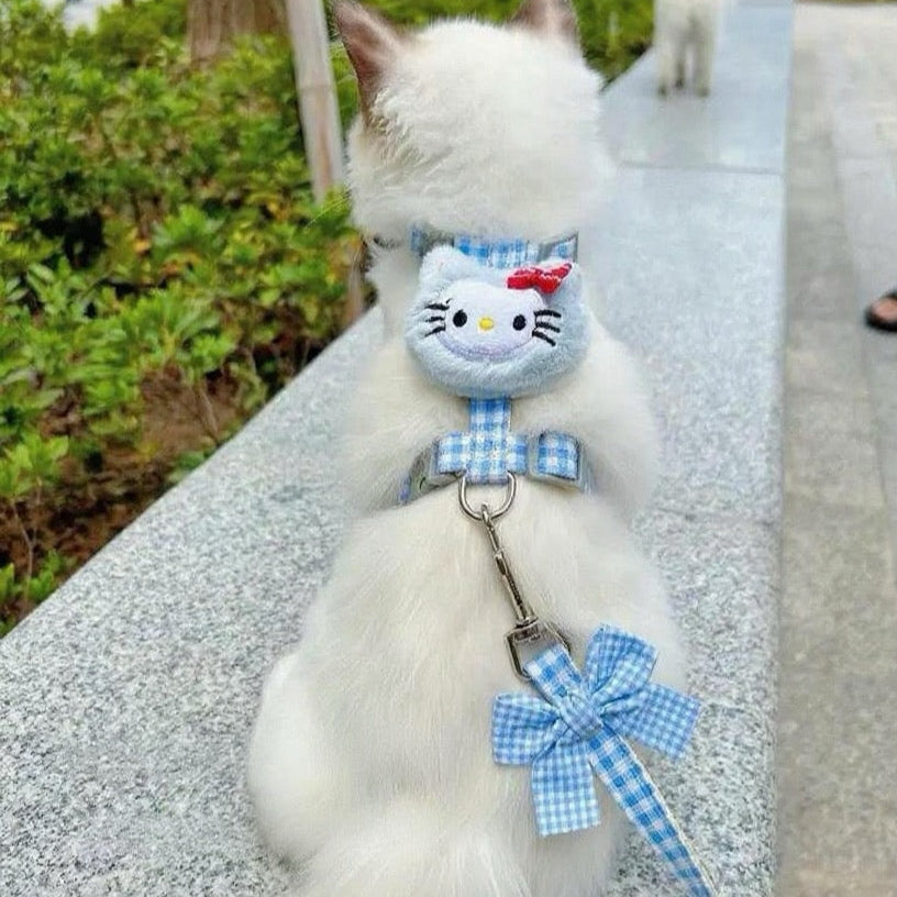 Puppy and cat leash