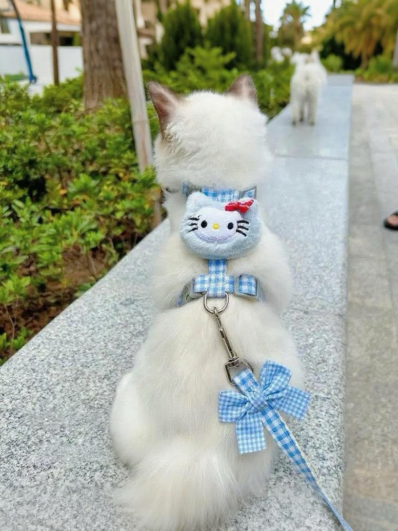 Puppy and cat leash