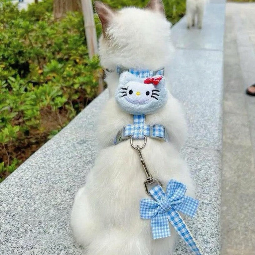 Puppy and cat leash